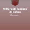 wildergalvan08