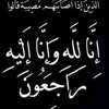 ibo_s8