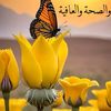 hani11.com