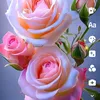 thanhv929