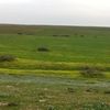 akrem_alarfe