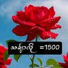 phyolay75080