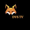 DVS  TV= 📺=%