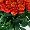 lina20049219
