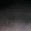 eduarthasa66