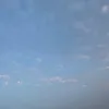 ngnh498