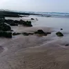 joujouzid