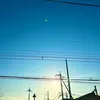 fuyu_0515