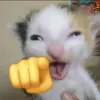 .ang255