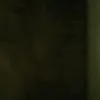 zealzedrico