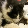 pipparoo23