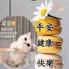 番番动画之家