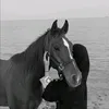 zxcj128