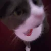 pinkshyt__alexaqq