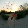 zina_19939