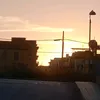 matildemurana4