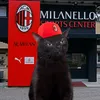 emanuelnicolazzo