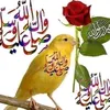 user75540259250034
