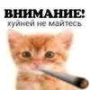chik_om0