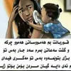 nsarabdulghafar