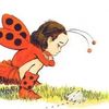 ladybug.werdio