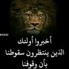 user29665585566137