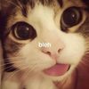 bbibii02