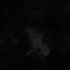 lilssilva2