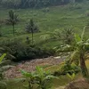 kangngoppi99