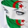 hanine.han