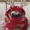 holidaycozys