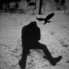 lonely.cc3