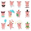 pigsrsoslay