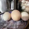 tres.huevos5