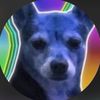 doggityyman