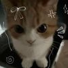 ioveclowns_123
