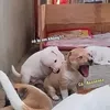 minhthien999999999