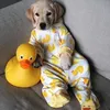 ngoclinh3nfpky