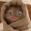 hazelnutlatteeh
