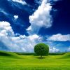 bluesky2051