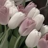 ivanna2542_