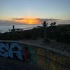 angus.naughts11