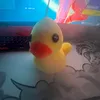 quack_fr