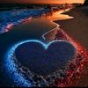 zeeshanali13030