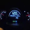 mrbog244