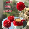 user4685432153279
