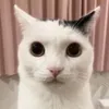 dvrkloc