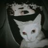 kim_shayeri_7