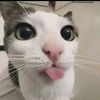 raffa_aja777