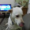 user9880728592965